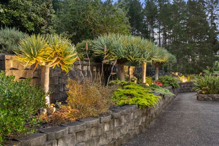 334c Redoubt Road Totara Park_34