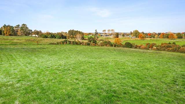 59A Wilks Road West Dairy Flat_1