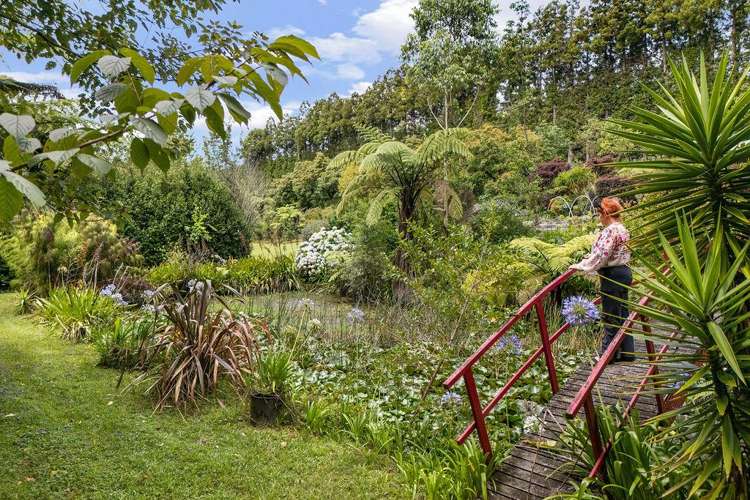 140A Wharawhara Road Katikati_20