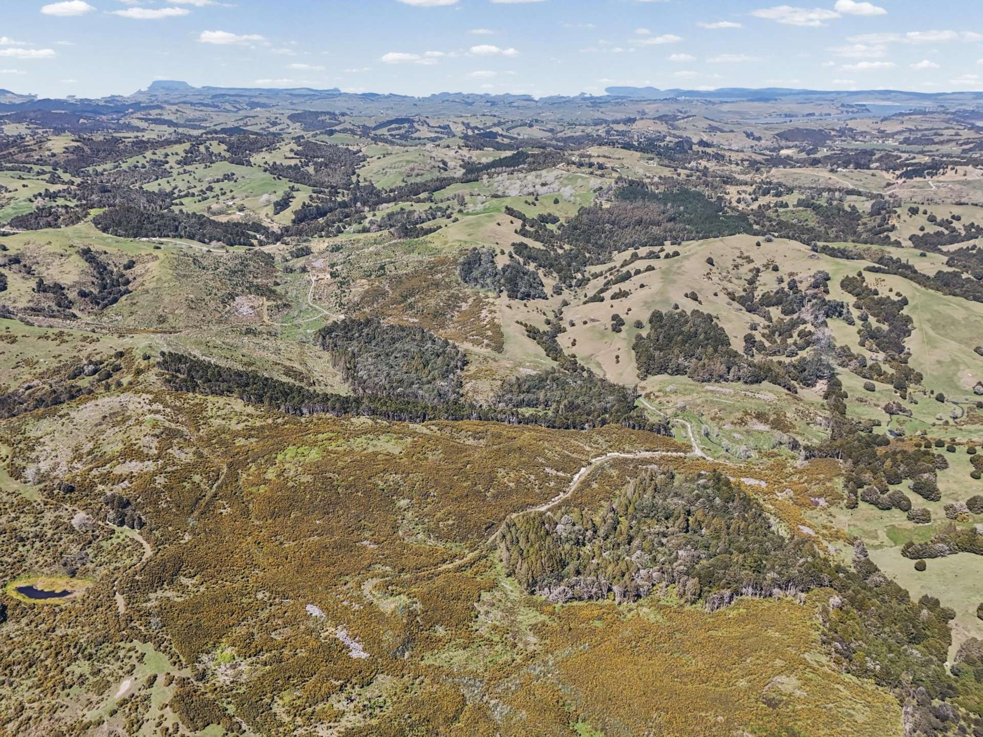 Arcadia Road Paparoa_0
