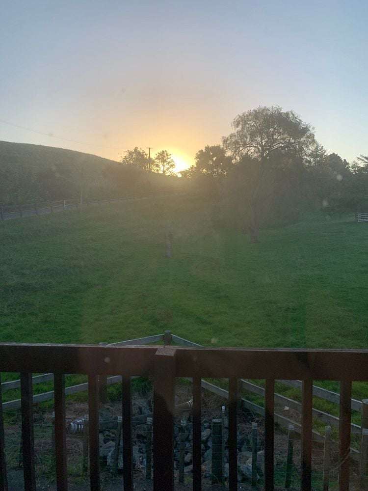 4 Glasgow Terrace Feilding_4