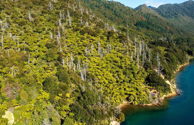 Lot 2 North West Bay Pelorus Sound_1