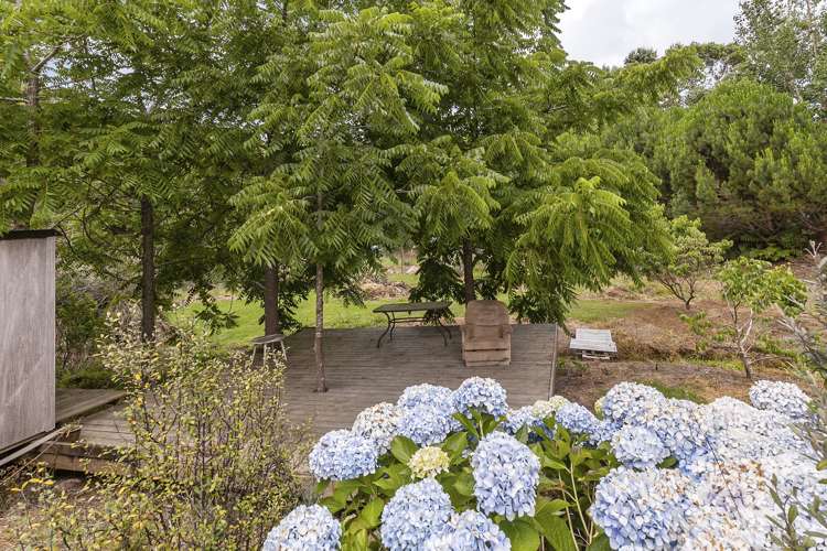 950 Matakana Valley Road Whangaripo_17