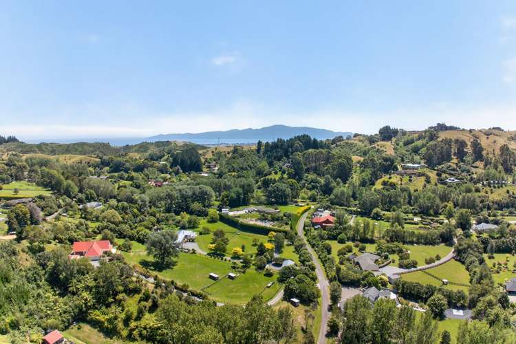 32 Maui Pomare Road Nikau Valley_42