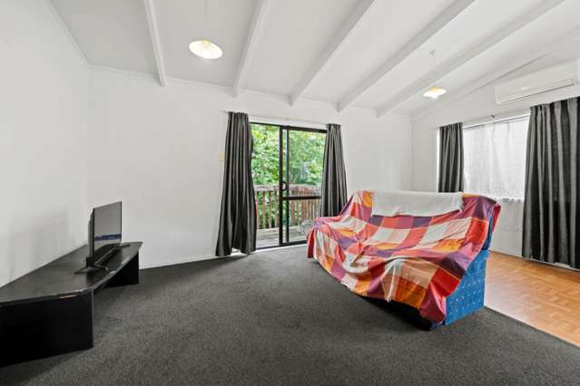 55 Sunvue Road Glen Eden_4