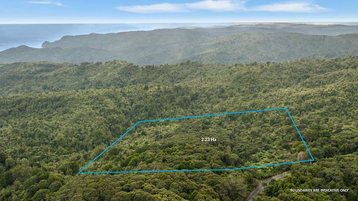 254 Piha Road_0