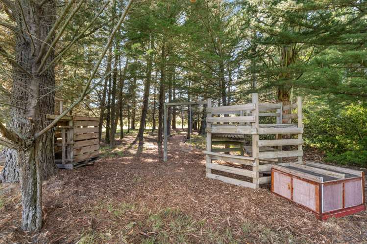 854 Hoskyns Road West Melton_14