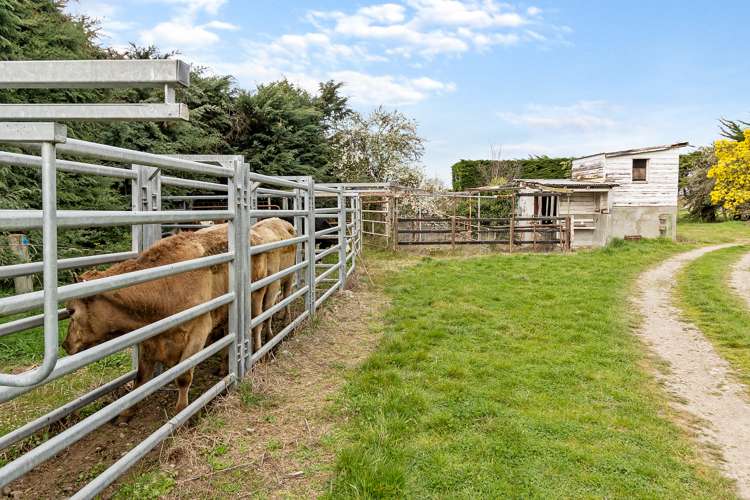 102 Levels Plain Road Levels_10