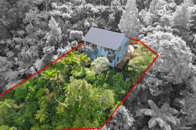 Renovated Oratia Retreat with Privacy