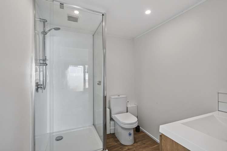 319 Carrington Street Vogeltown_23