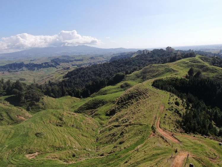 284 Owaikura Road Otorohanga_8