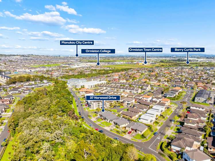37 Norwood Drive Flat Bush_14