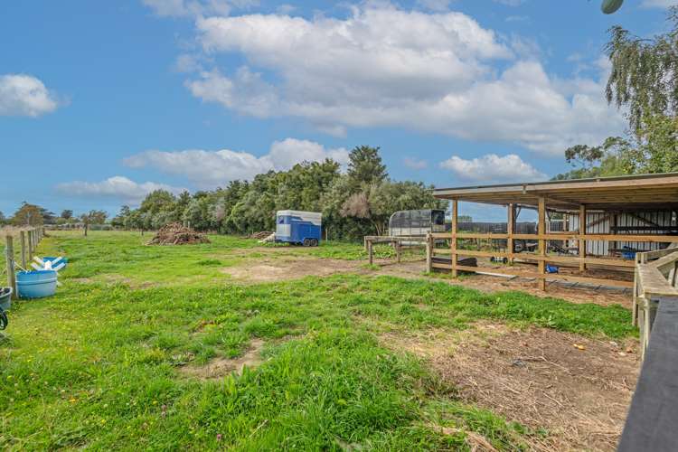 116 Mclean Street Woodville_5