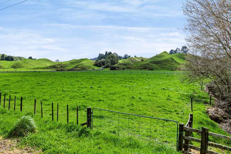 1151 Makuri Road Huiroa_4