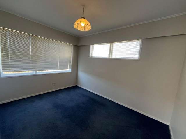 155 Hutchinsons Road Bucklands Beach_1