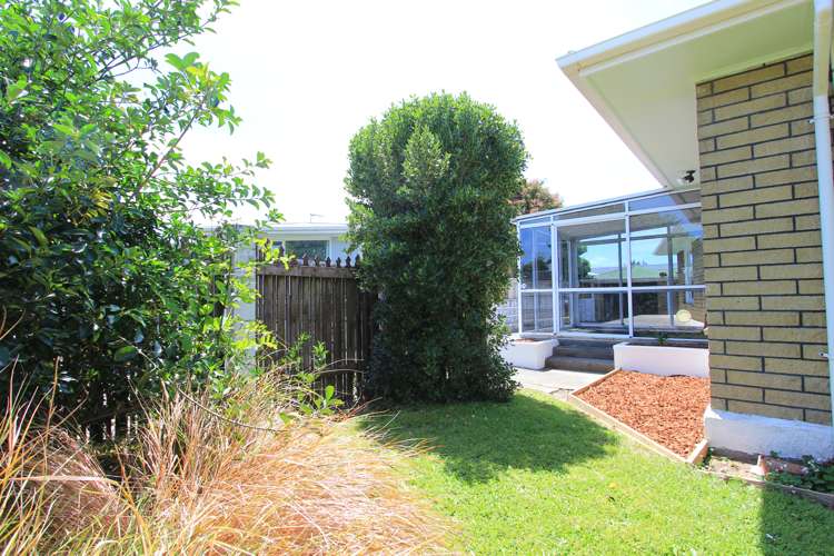 43 Weld Street Redwoodtown_20