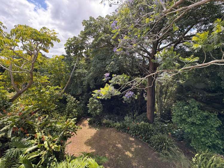 16 Handforth Street 11614_11