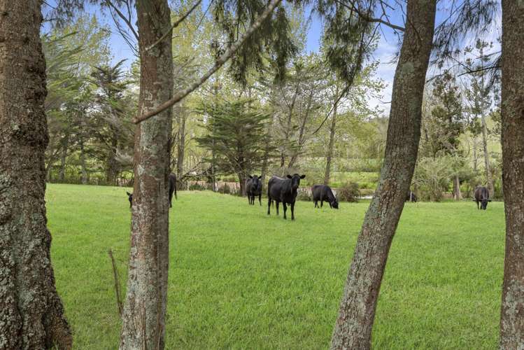 336 Ireland Road Waitoki_46