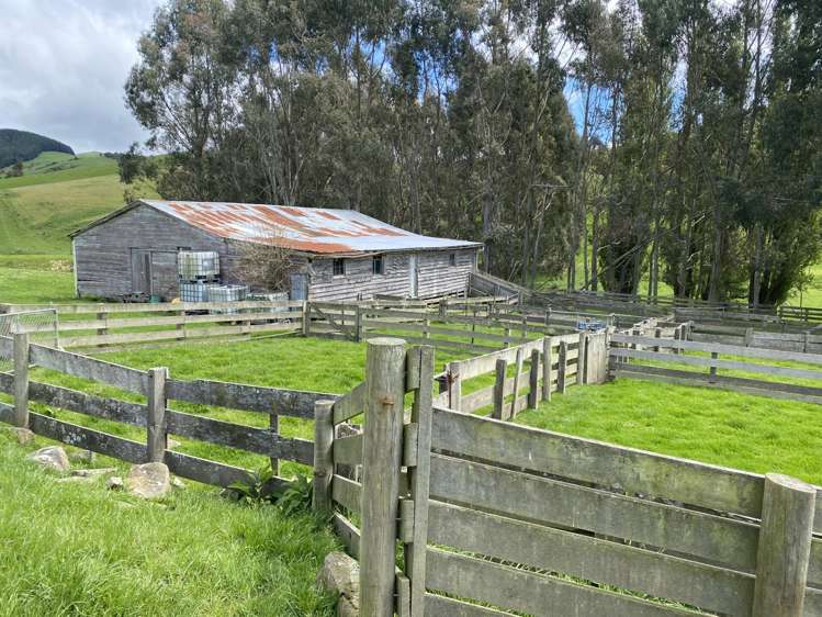 1726 Owaka Highway Kaka Point_6