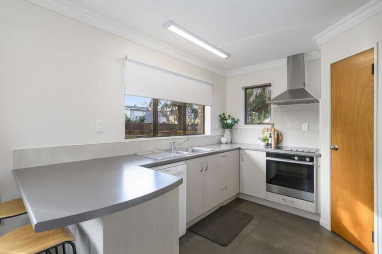 28 Selwyn Street Tauranga Central_3