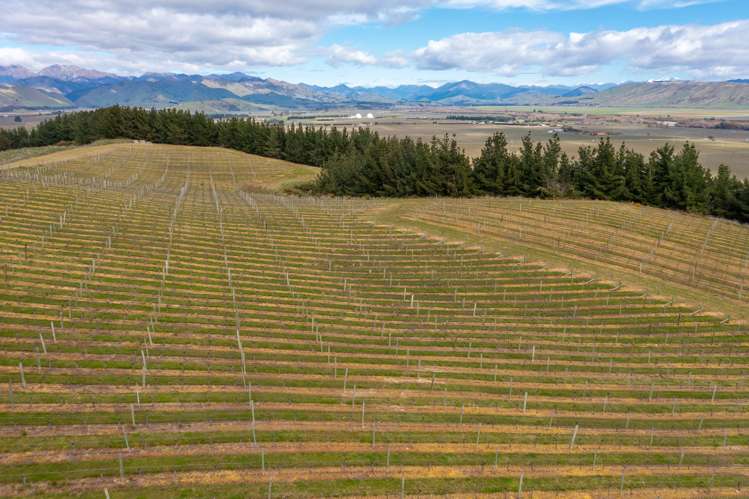 Delta Lake Heights Renwick_13