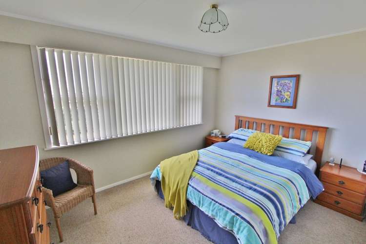 27 Weka Place Picton_9