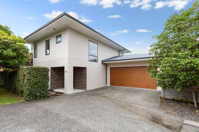 22d Shetland Street Glen Eden_1