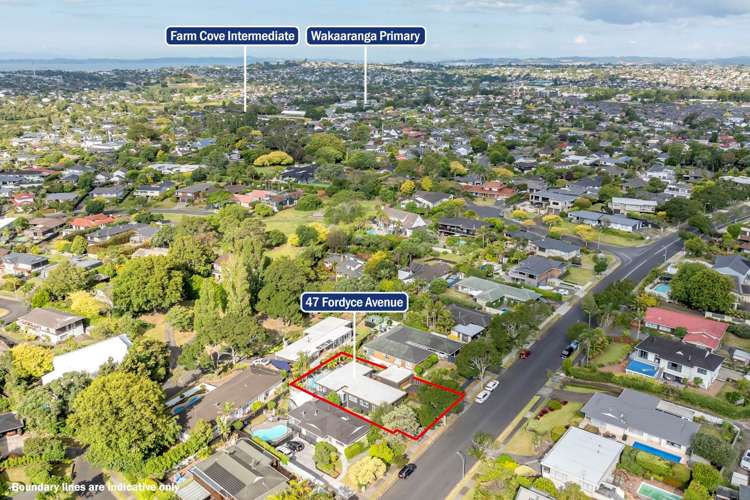 47 Fordyce Avenue Sunnyhills_32