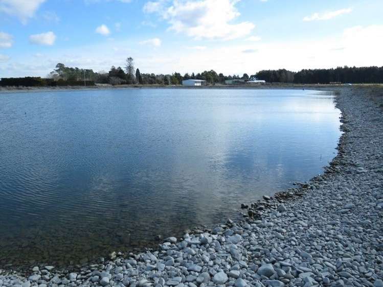 1035 Newland Road Clandeboye_7