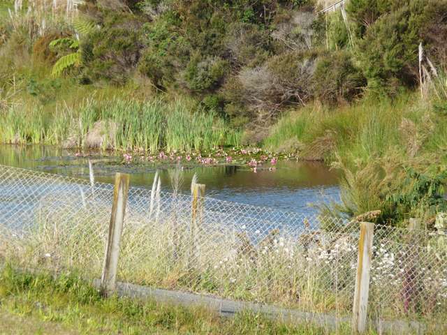 34 Akeake Crescent Karikari Peninsula_1