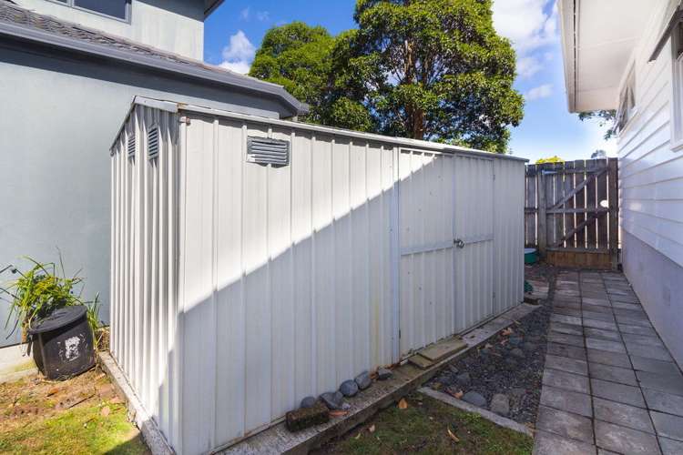 46 Trinidad Road Sunnynook_15