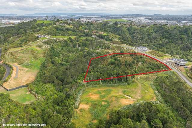 84 Griggs Road East Tamaki Heights_4