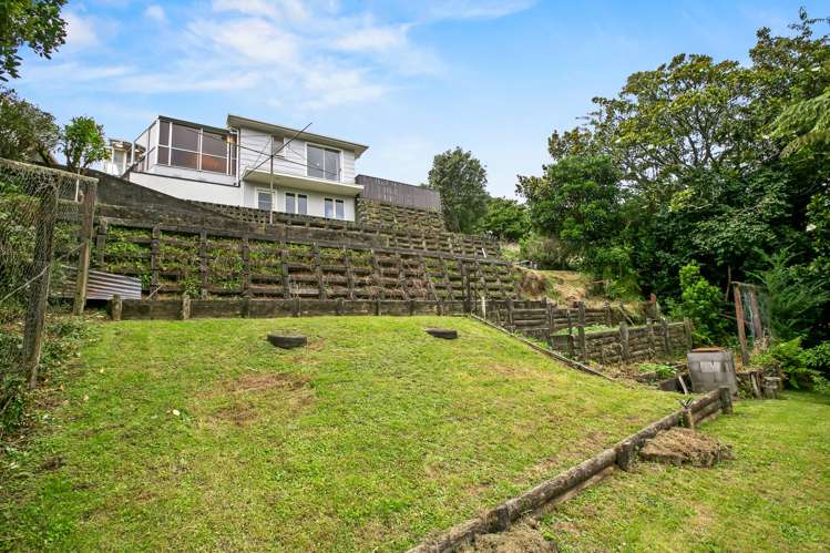 280 Huatoki Street Upper Vogeltown_13