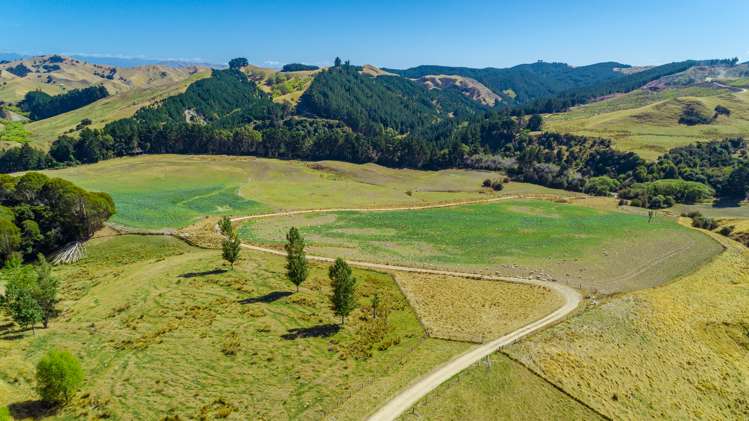 219 Te Kanuka Road Masterton_11