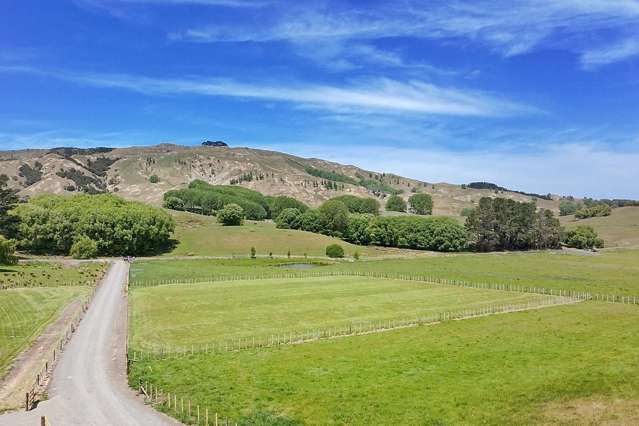 Lot 4 & 5/2538 Kahuranaki Road Elsthorpe_1