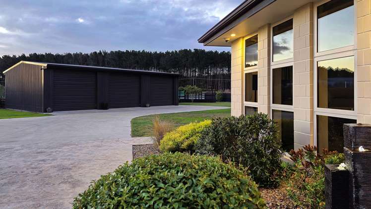 15 Carex Grove Foxton Beach_5