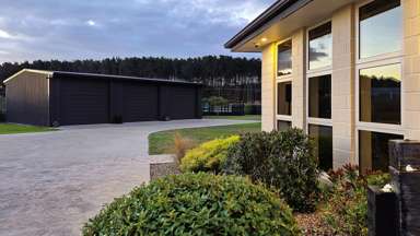 15 Carex Grove_3