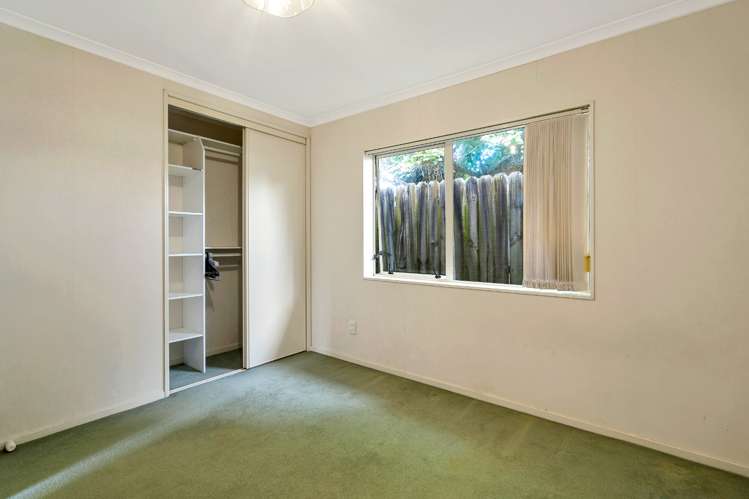 29a Riversdale Road Avondale_10