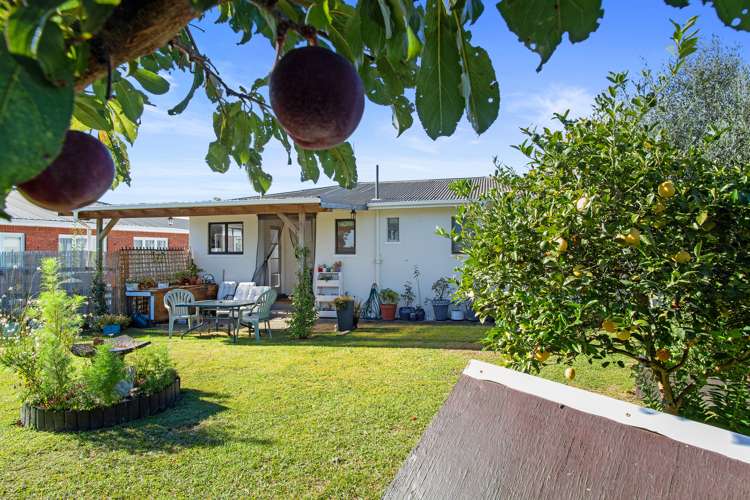 1528 Rewi Street Te Awamutu_16