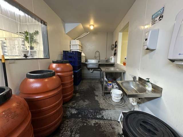 Unit B, 58 Newton Street Mount Maunganui_4