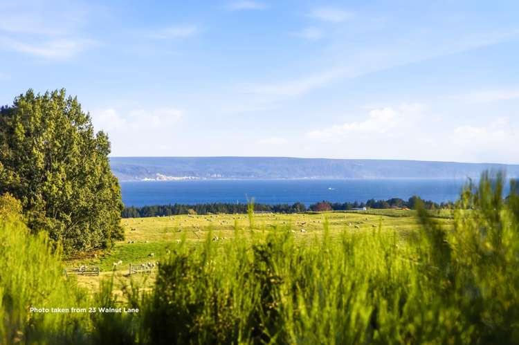 23 Walnut Lane Nukuhau_9