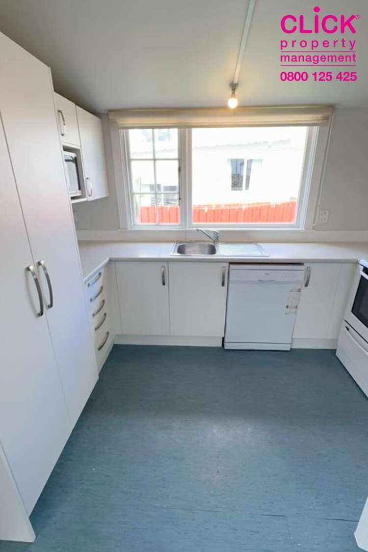 117 Clyde Street North Dunedin_10