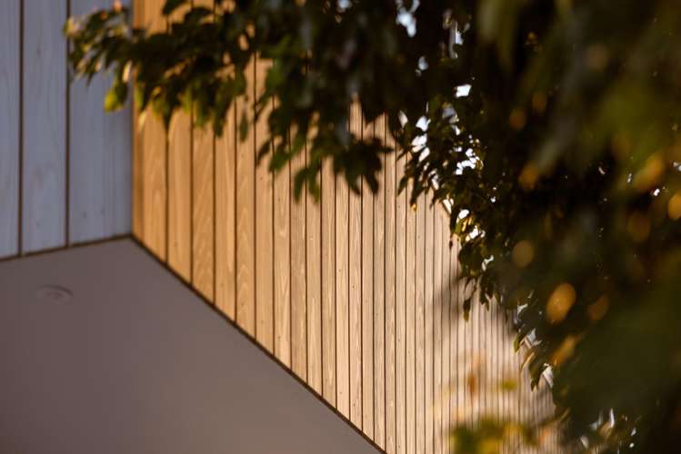 12C Terrace Avenue Mt Maunganui_23