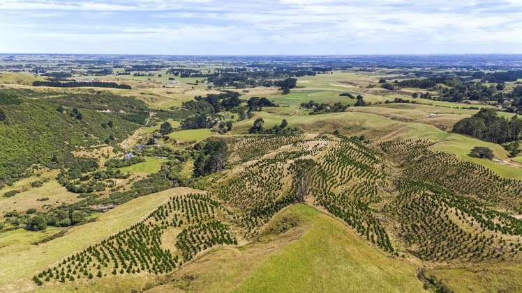 479 Kahuterawa Road Linton_1