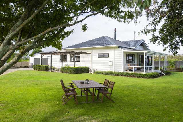 36 Bell Road Matawhero_3