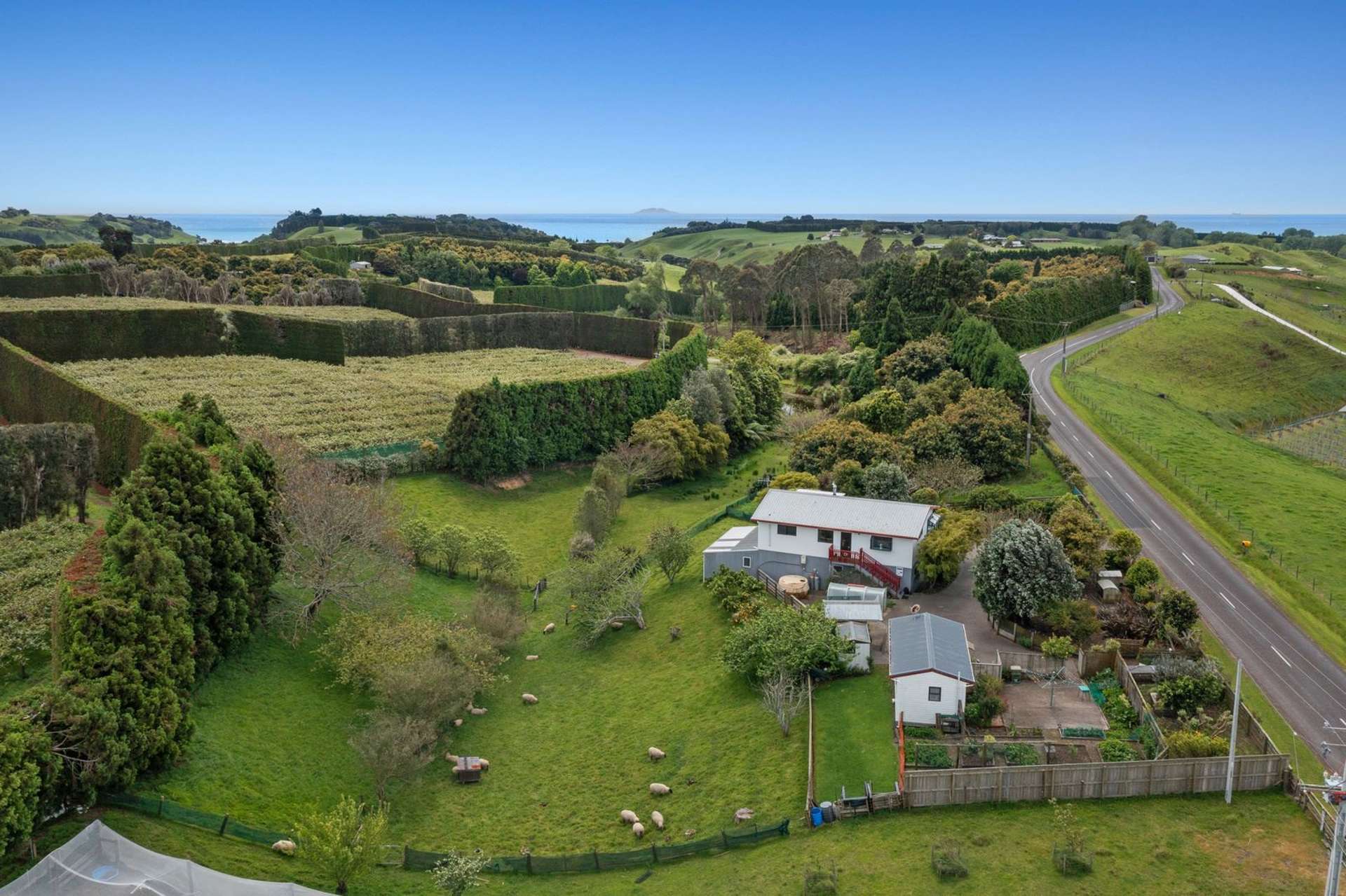 286 Paerata Ridge Road Opotiki and Surrounds_0