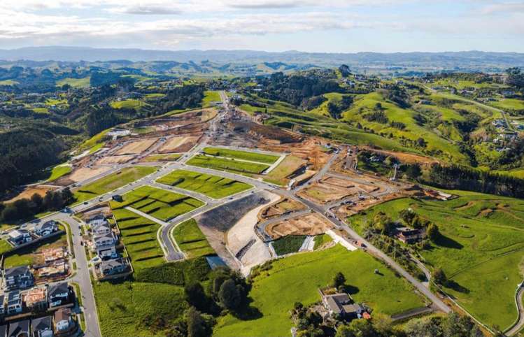 12 Rathmines Road Flat Bush_3