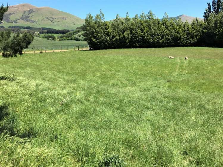 308 Waiwera Station Road Clinton and Surrounds_7