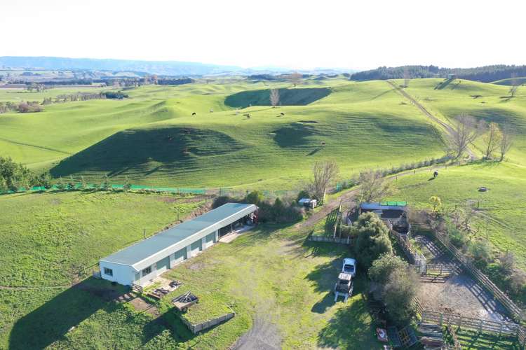 712 Matapiro Road Crownthorpe_2