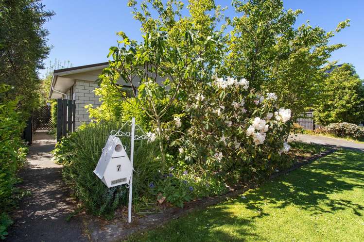 7 Roxburgh Street Sydenham_10